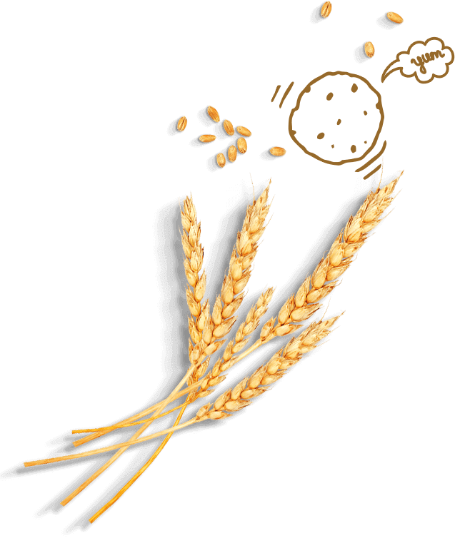 Innovative Biscuits About