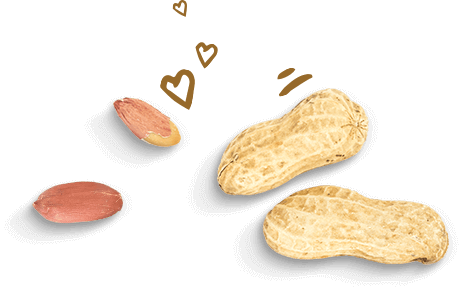 Innovative Biscuits About