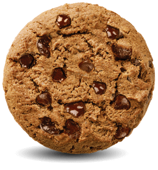 CHOCOCHIP BISCUIT