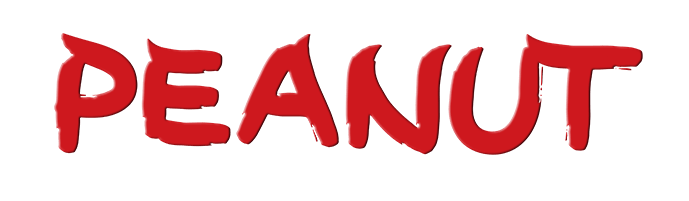 Innovative Biscuits Peanut